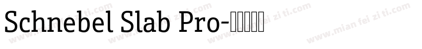 Schnebel Slab Pro字体转换